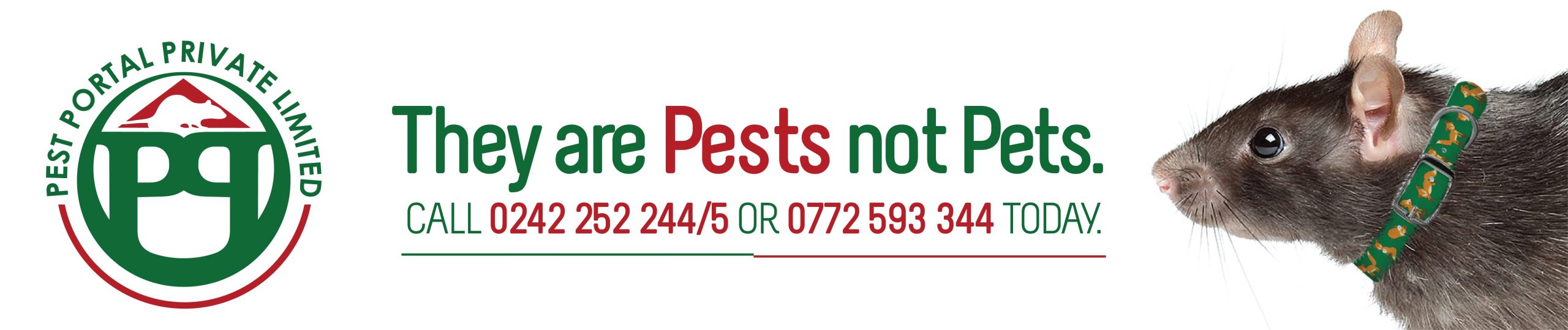 Pest control harare