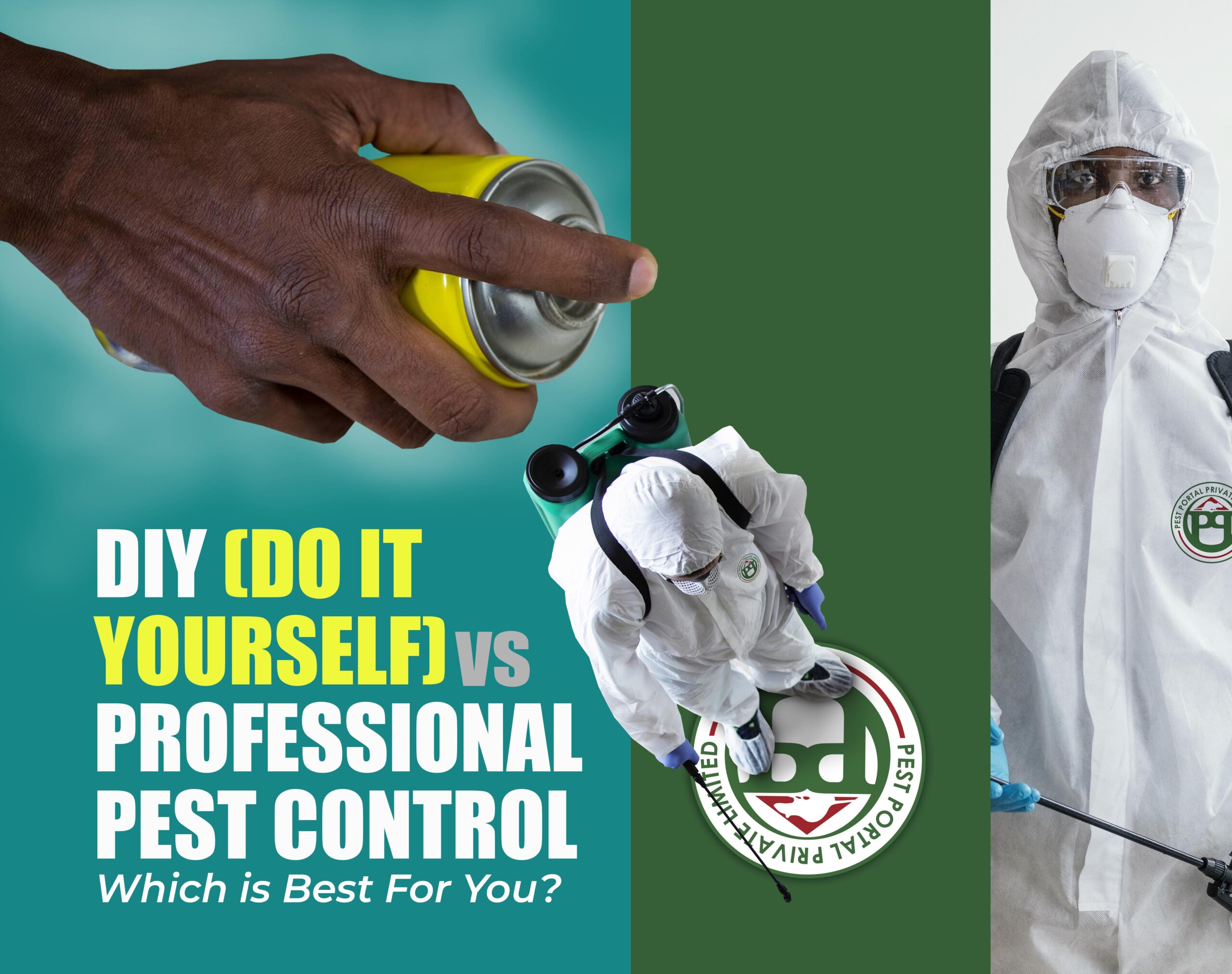 DIY Pest control Zimbabwe